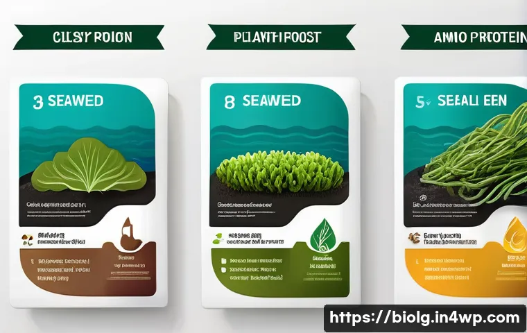 해조류로 만드는 대체 단백질, 미래 식품 혁신 5가지 핵심 포인트 살펴보기 4 해조류를 이용한 대체 단백질 원료 개발 관련 이미지 2