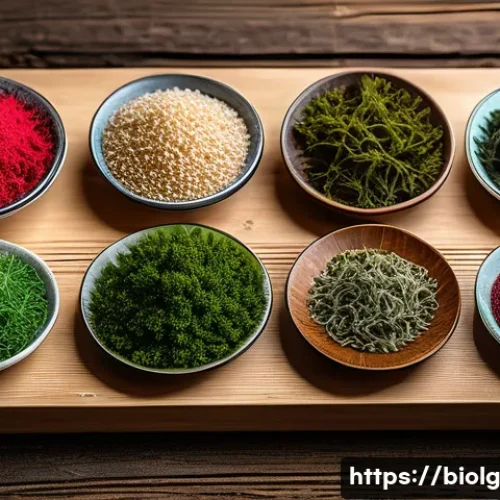 해조류를 활용한 대체 식품 개발 전략 - A vibrant close-up of various edible seaweeds including red, brown, and green algae displayed on a r...