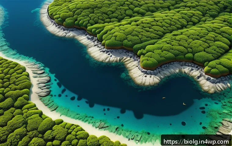 해조류 생물 분해 혁신 연구 최신 동향과 미래 가능성 탐구 4 해조류의 생물 분해 가능성 연구 관련 이미지 2