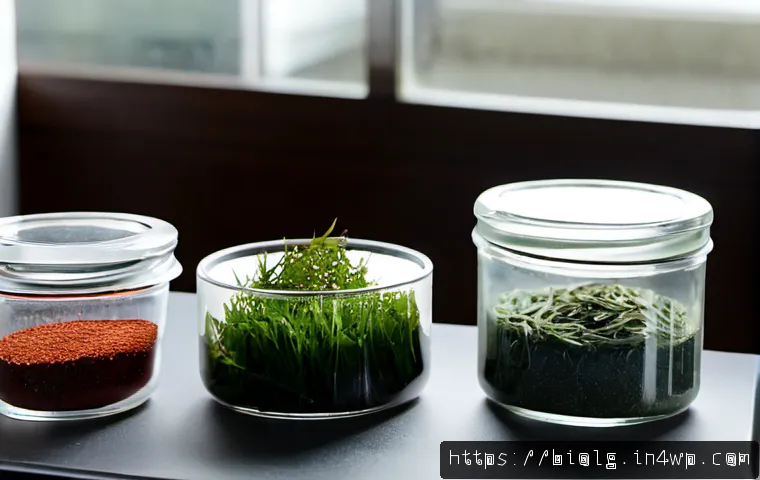 해조류의 천연 첨가물로서의 가능성 - Photorealistic food science still life of fresh green seaweed, red seaweed, and dried kelp arranged ...
