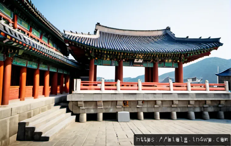 식품 개발 담당자를 위한 해조류 유래 천연 첨가물 검토법: 기능·안전성·원가 비교 4 해조류의 천연 첨가물로서의 가능성 관련 이미지 2